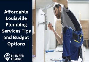 Affordable Louisville Plumbing Services Tips and Budget Options