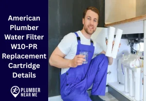 American Plumber Water Filter W10-PR Replacement Cartridge Details