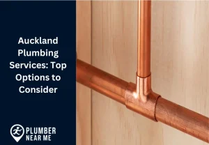 Auckland Plumbing Services Top Options to Consider