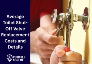 Average Toilet Shut-Off Valve Replacement Costs and Details