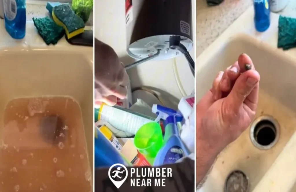 Avoid Liquid-Plumr and Similar Chemicals in Garbage Disposals