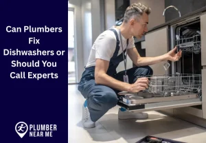 Can Plumbers Fix Dishwashers or Should You Call Experts