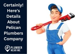 Certainly! Here's Details About Pelican Plumbers Company