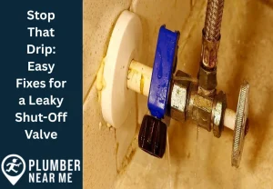 How to fix leaky shut off valve