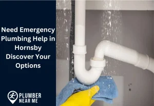 Need Emergency Plumbing Help in Hornsby Discover Your Options