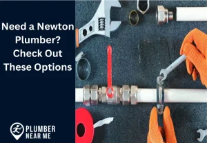 Need a Newton Plumber Check Out These Options