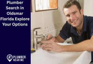 Plumber Search in Oldsmar Florida Explore Your Options
