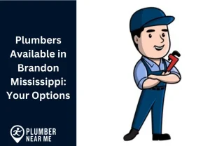 Plumbers Available in Brandon Mississippi Your Options
