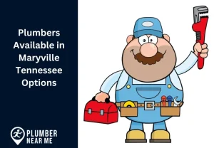 Plumbers Available in Maryville Tennessee Options