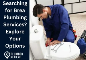 Searching for Brea Plumbing Services Explore Your Options