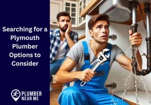 Searching for a Plymouth Plumber Options to Consider