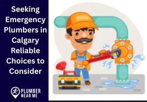 Seeking Emergency Plumbers in Calgary Reliable Choices to Consider