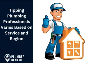 Tipping Plumbing Professionals Varies Based on Service and Region