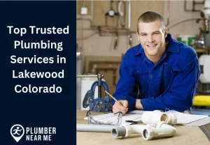 Top Trusted Plumbing Services in Lakewood Colorado