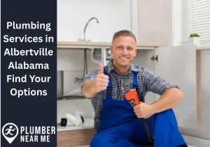 plumbing services in Albertville Alabama